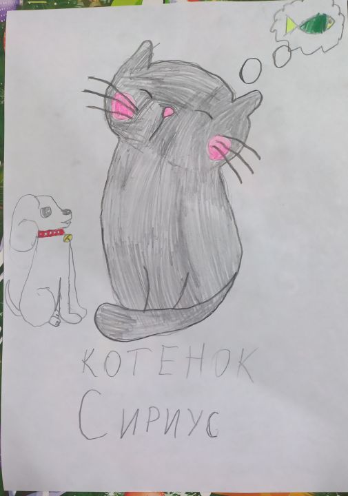 Павел Чувильков