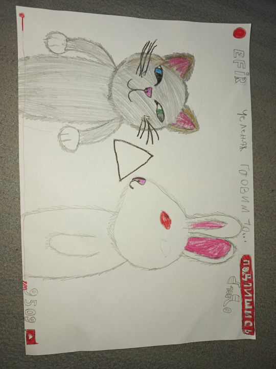 Елена Александровна Цыбина