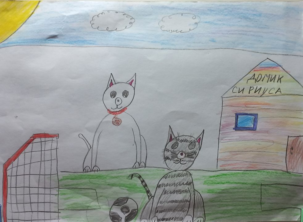 Артём Шишулин