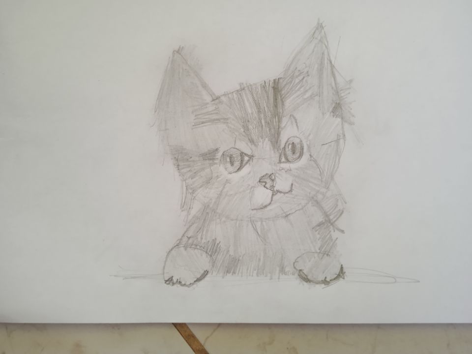 Рита Гадомская