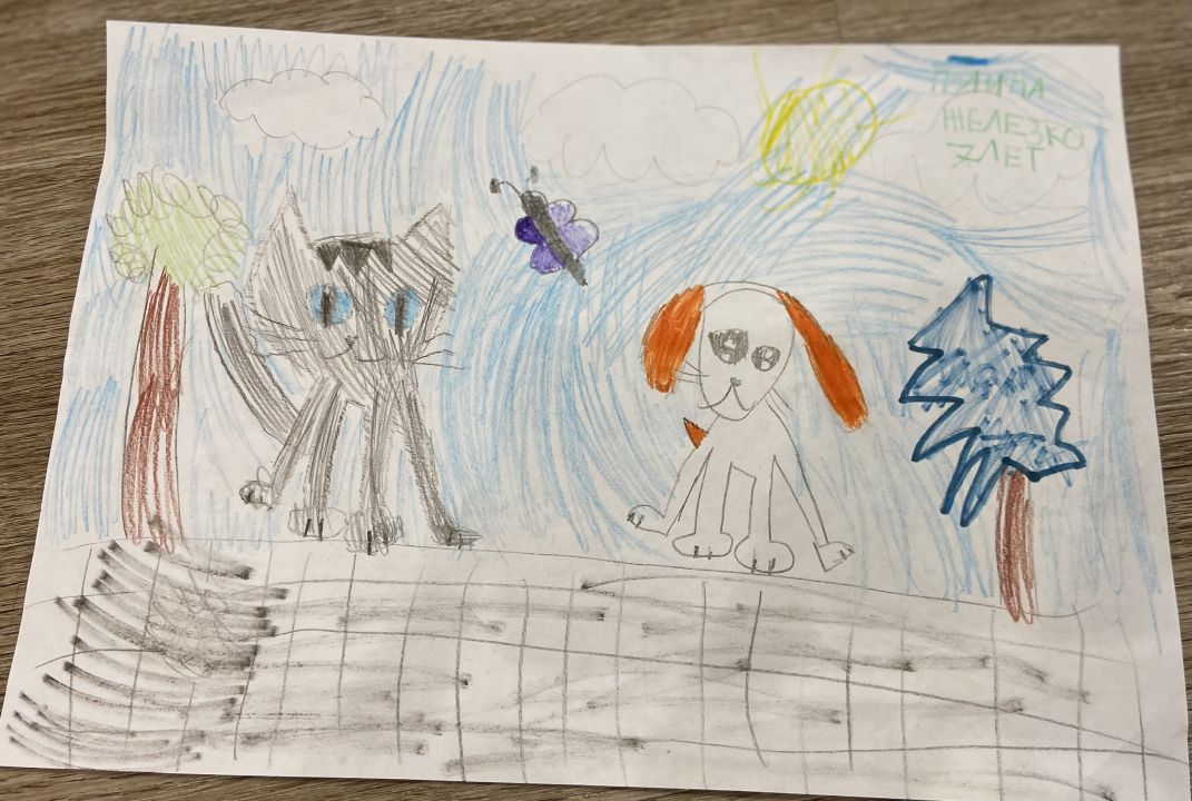 Полина Анатольевна Железко