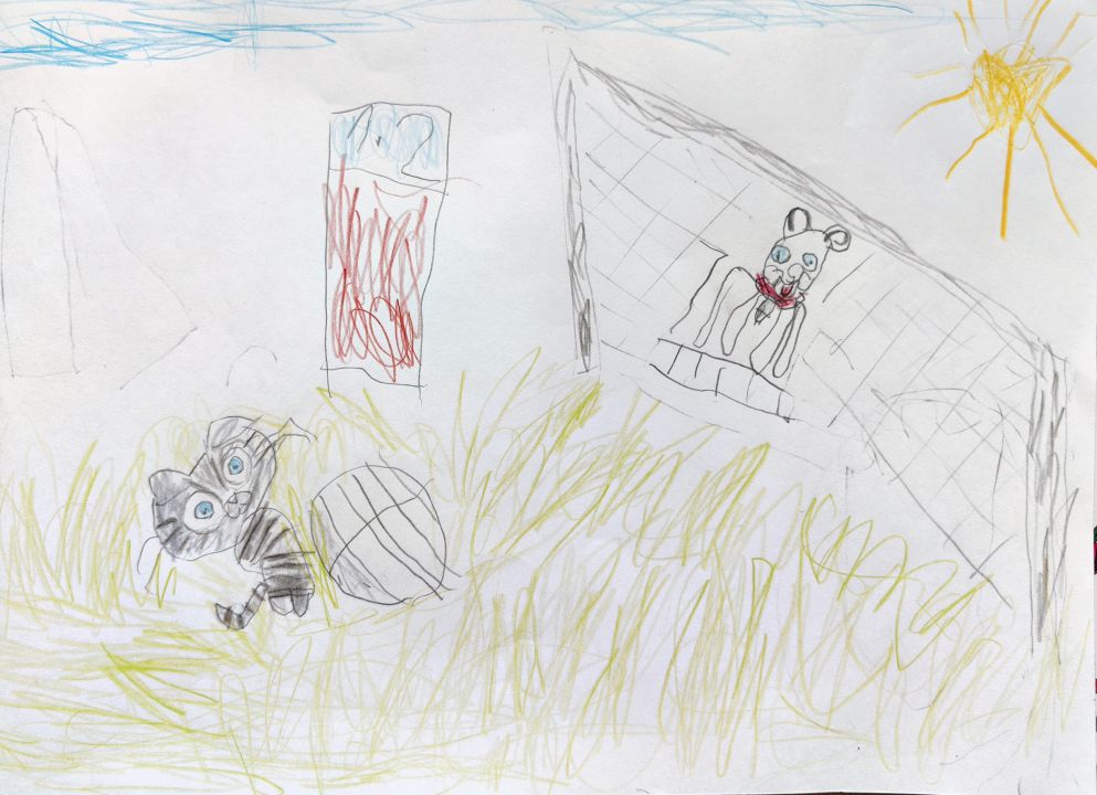 Нестор Анатольевич Анисимов