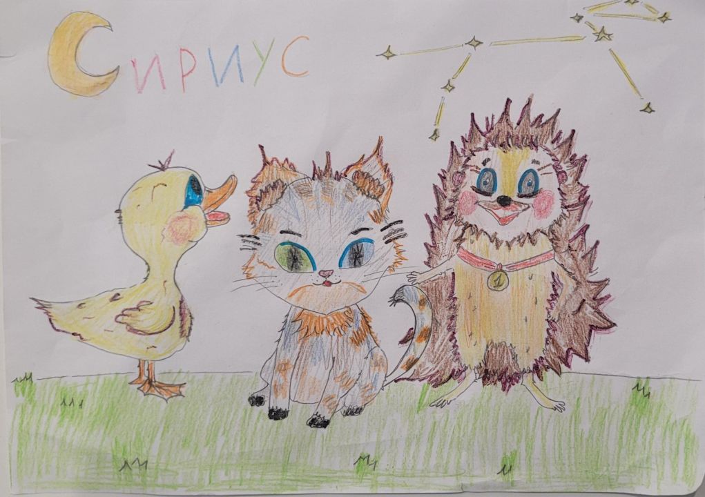 Миша Соболев