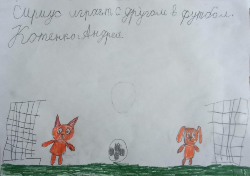 Андрей Котенко