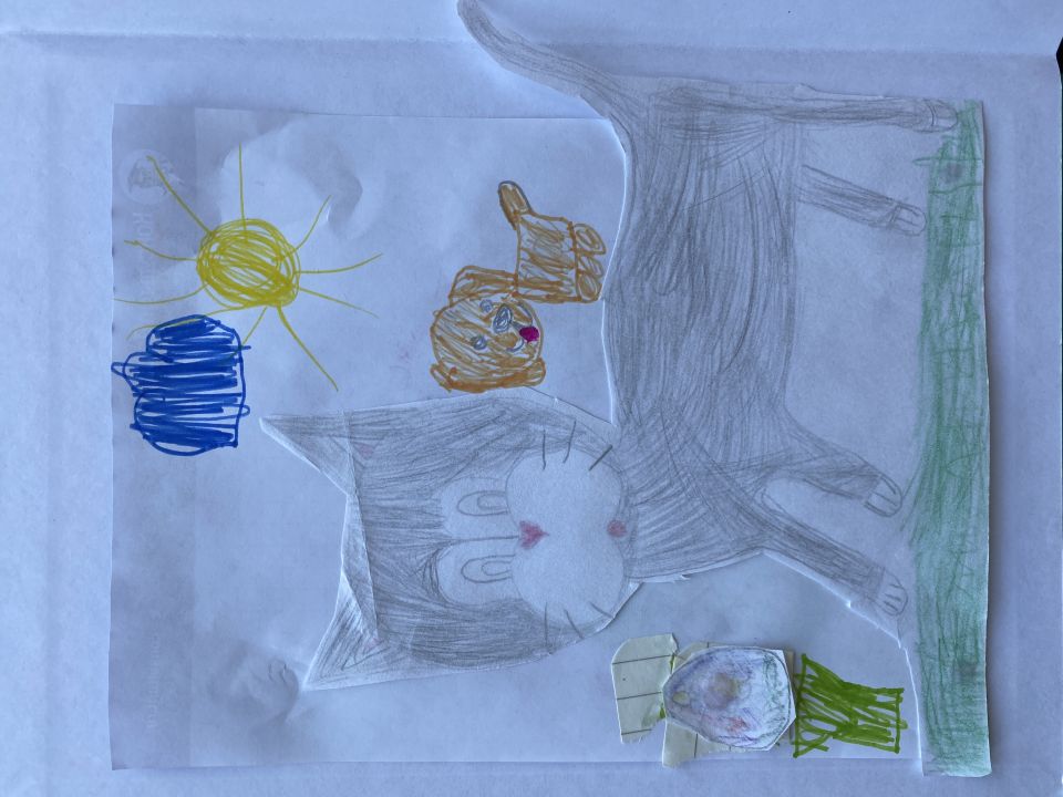 Мирослава Алексеевна Рябошапка