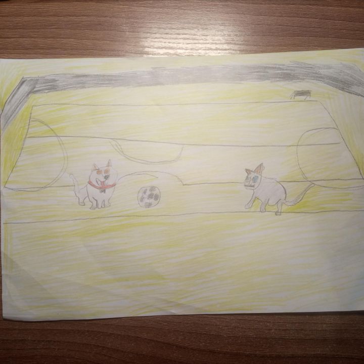 Ринат Артурович Астафьев