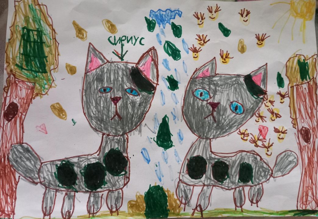 Юля Пехтелева