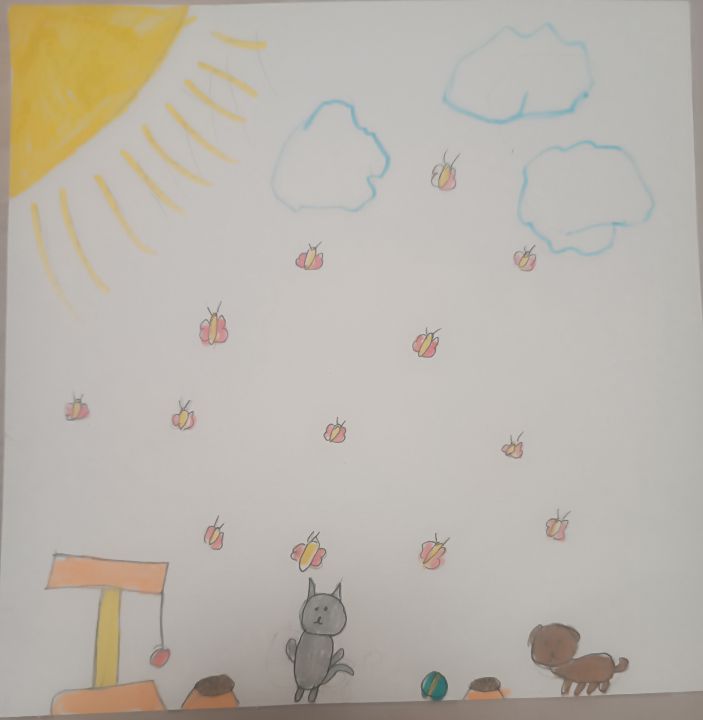 Дарья Александровна Сова