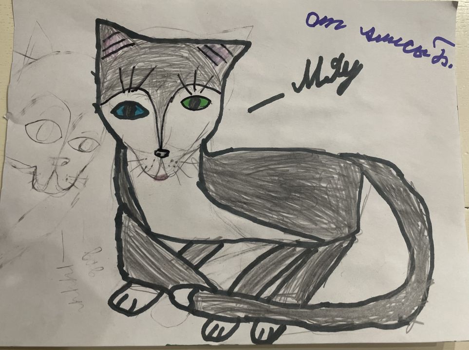 ღஐℒℴνℯஐ