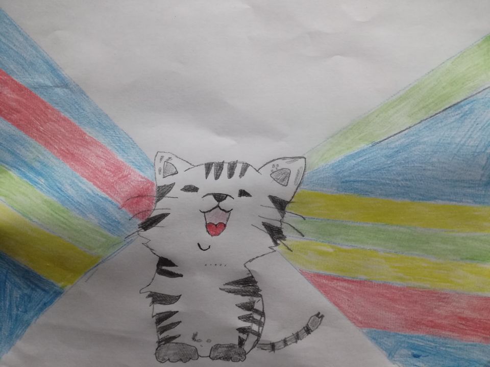 Доржу Менгиевич Шомбул