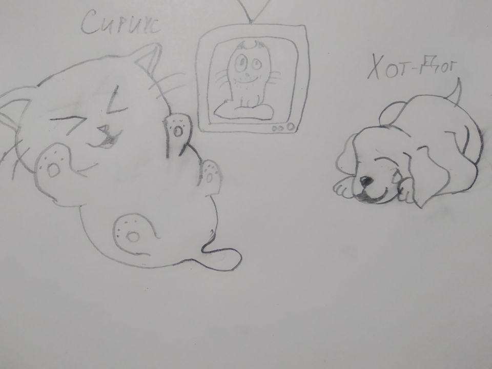 Дени Доккуевич Голтаков