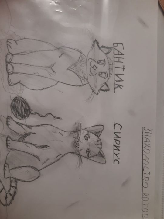 Валерия Сергеевна Матвеева