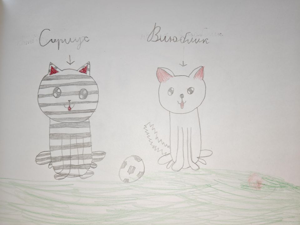 Саша Носарева