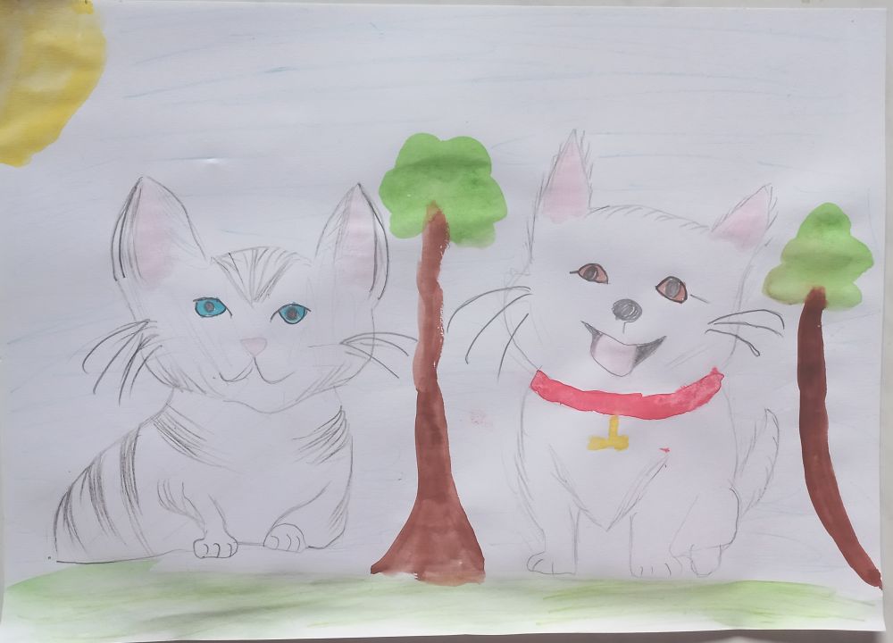 София Шмакова