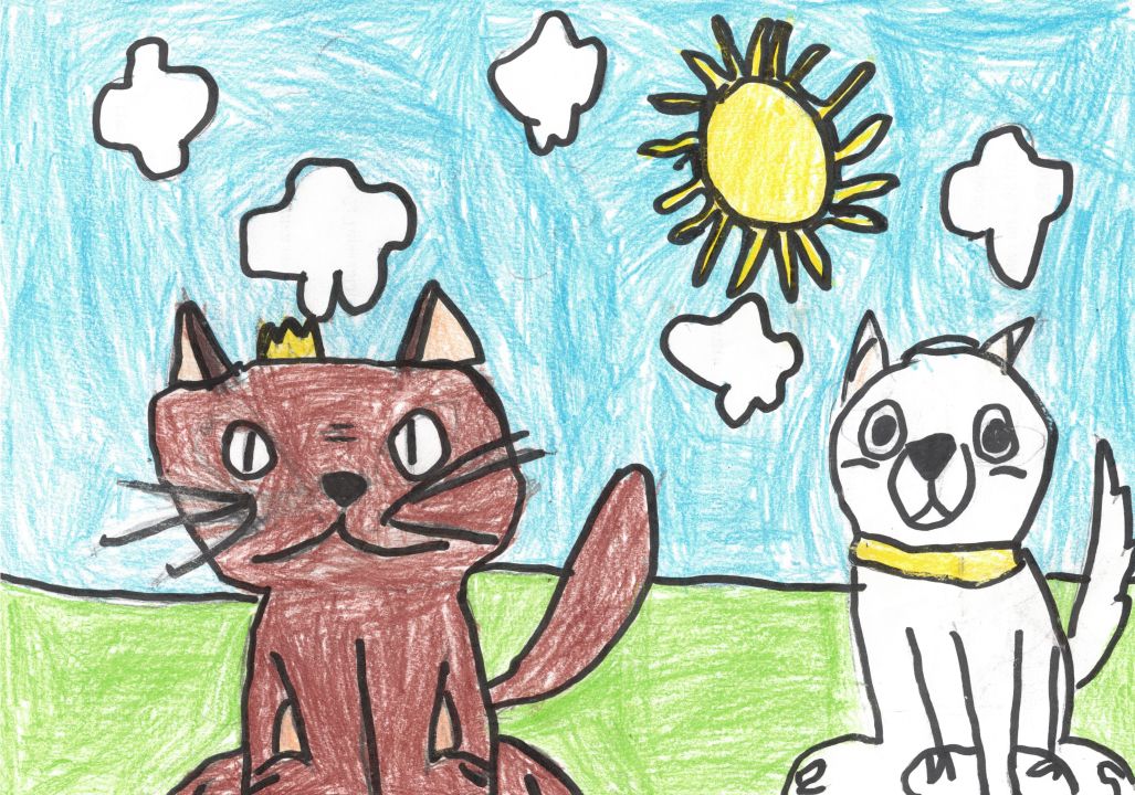 Дима Александрович Тодосейчук