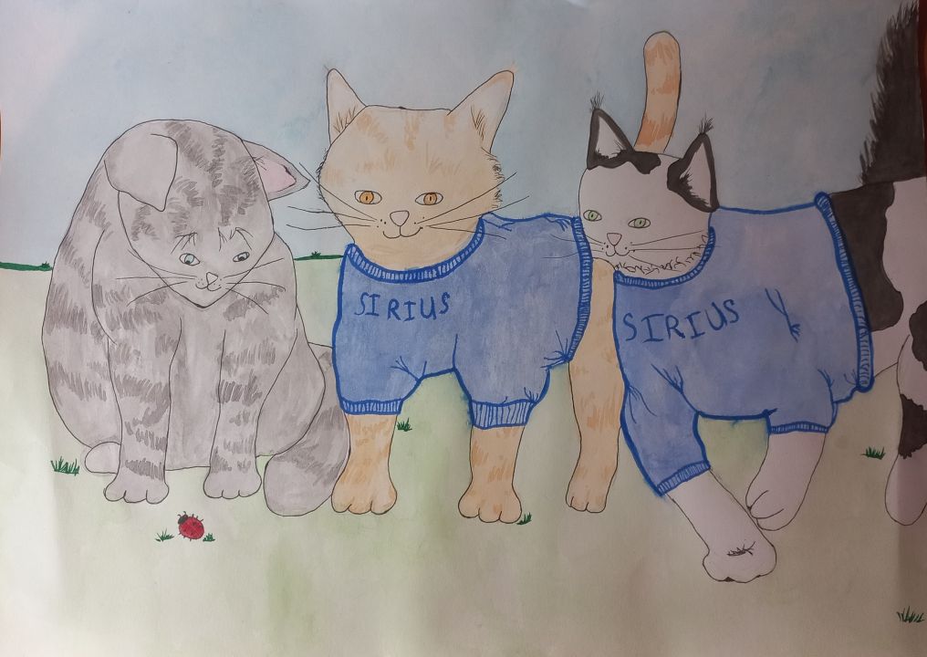 Дарья Сергеевна Ситникова