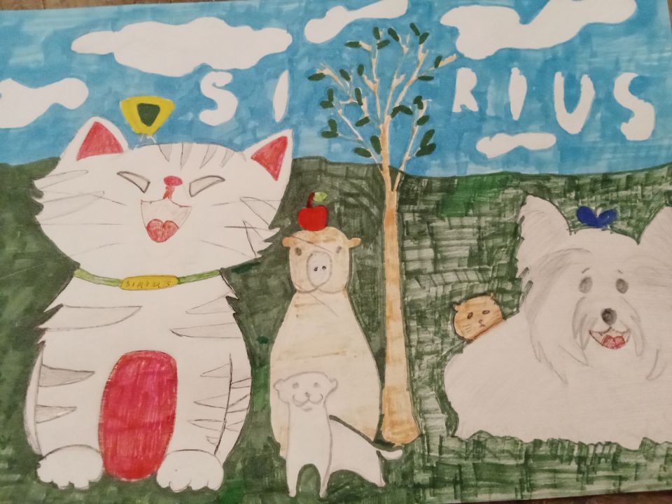 Ярослав Вячеславович Хромов