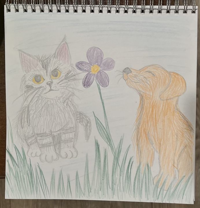 Роман Антонович Кривенцов