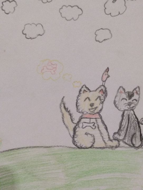 Ева Жичицкая