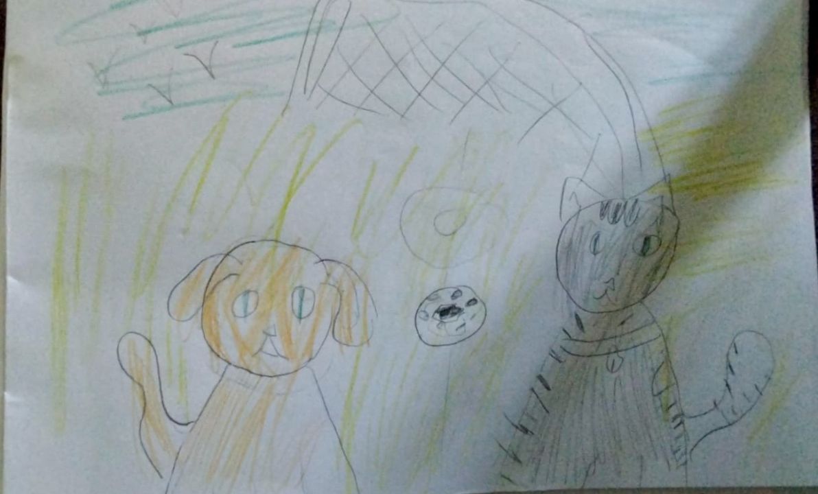 Аврора Камолова