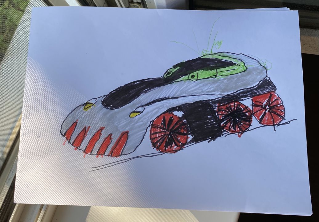 Софья Алексеевна Суходольская