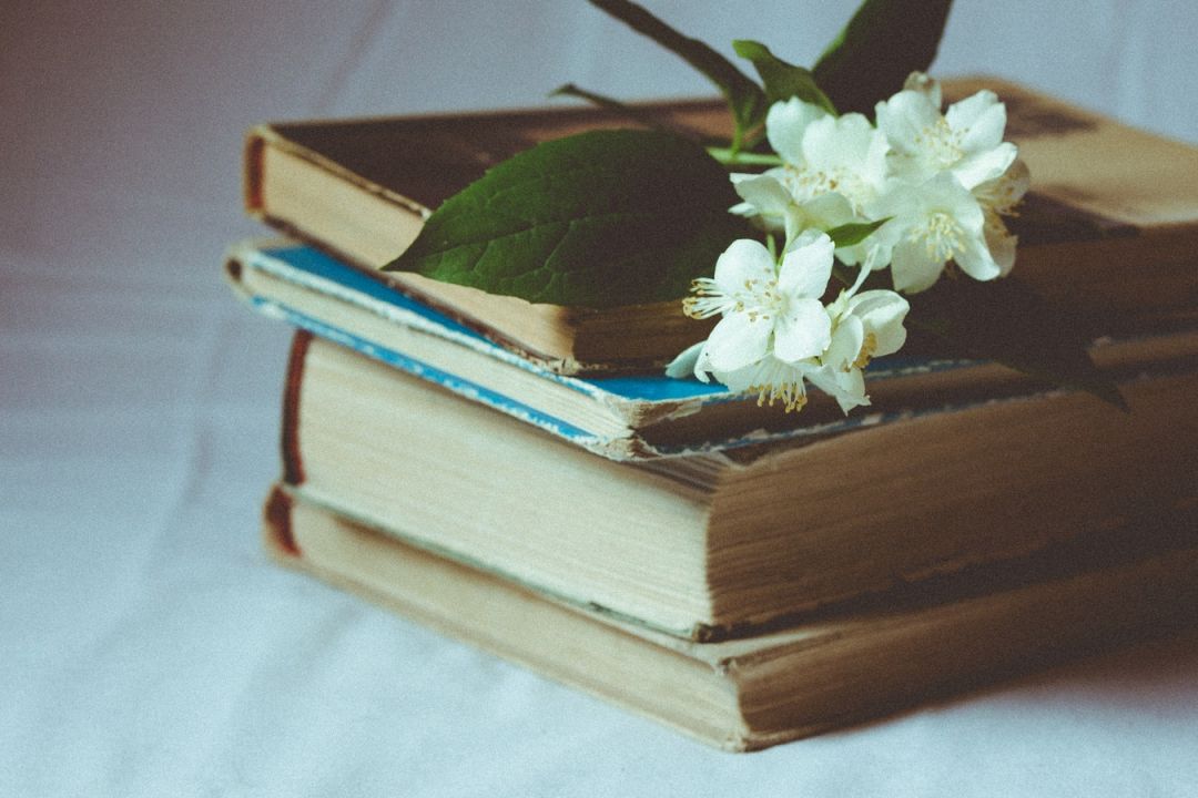Картинки про книги красивые