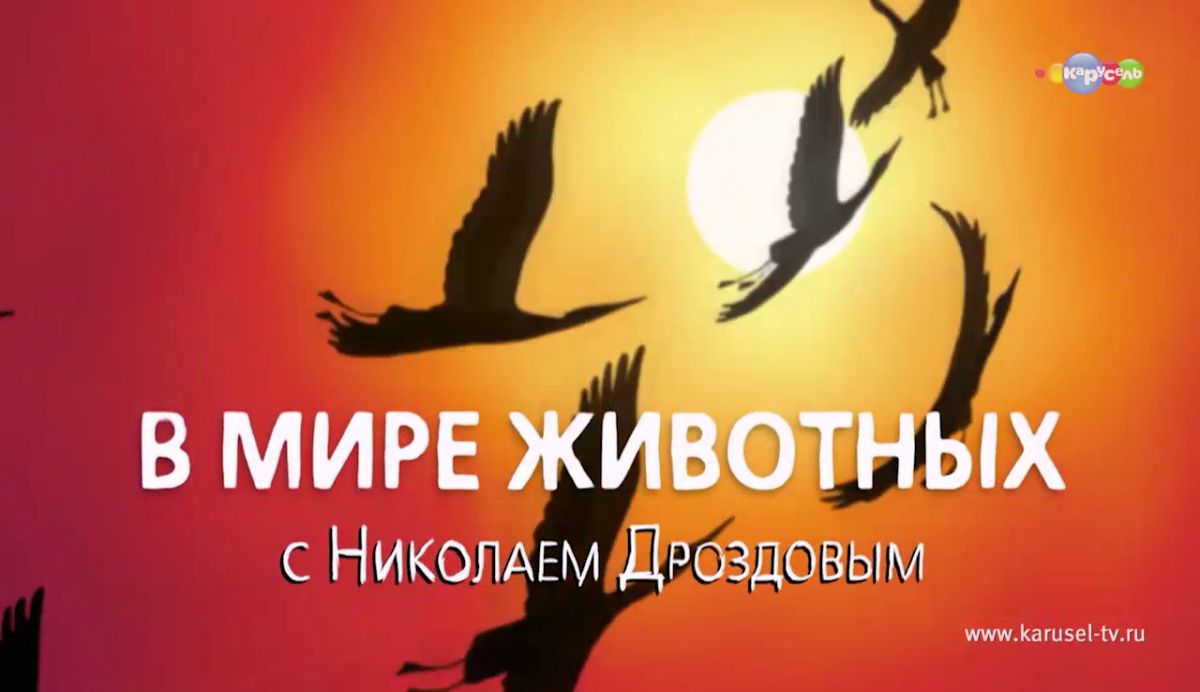 Ленинградский зоопарк отметит 157-й день рождения