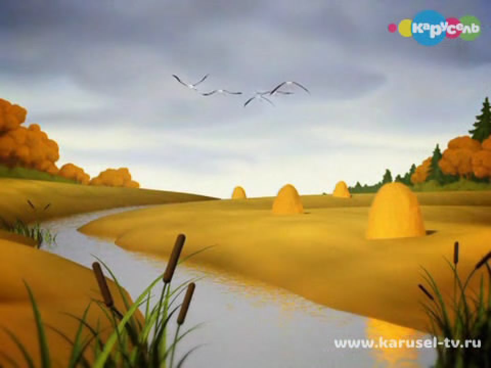 Смешные факты. Аисты - смотреть онлайн на канале Карусель