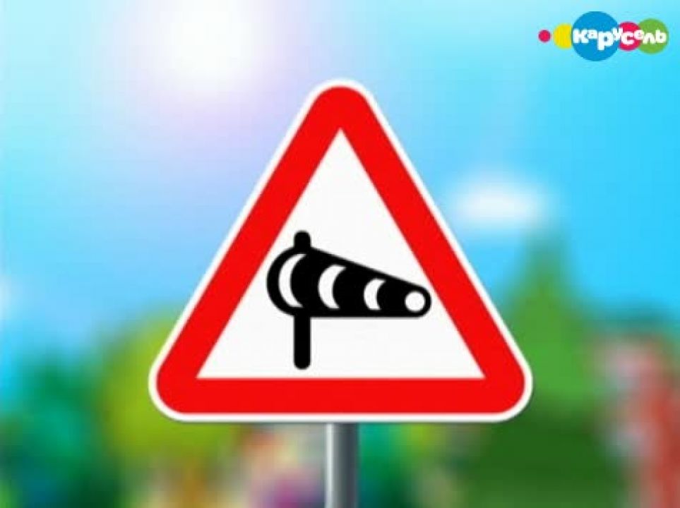 QUIZ: Жолооны дүрмийн шалгалт № 8
