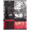 Hatber Тетрадь Цветущие пейзажи 60 листов в клетку цвет красный