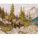 Набор для рисования по номерам Цветной "Медведи в горах", 40 x 50 см