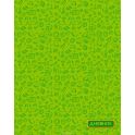 Апплика Дневник школьный для младших классов Паттерн цвет зеленый С3620-05