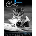 Апплика Дневник школьный Серый котенок С4072-08