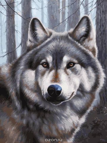 Живопись на холсте Белоснежка "Волк", 30 х 40 см