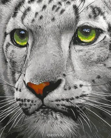 Набор для рисования по номерам Цветной "Белый тигр", 30 х 40 см