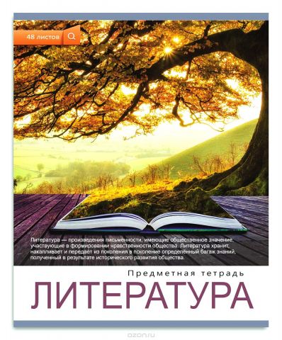 Проф-Пресс Тетрадь Мир вокруг Литература 48 листов в линейку