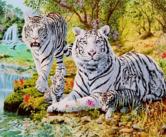 Картина по номерам Школа талантов "Белые тигры", 2467706, 30 х 40 см