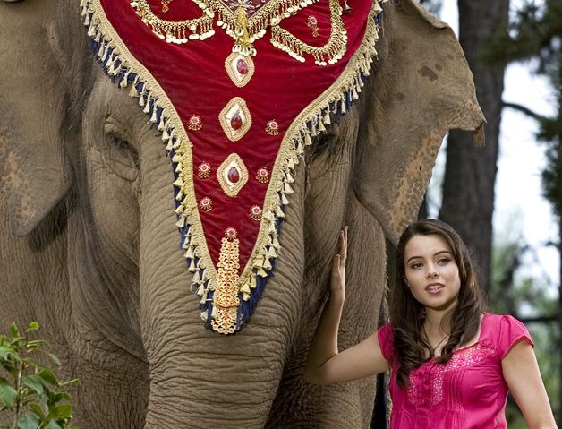 Слон и принцесса 2008