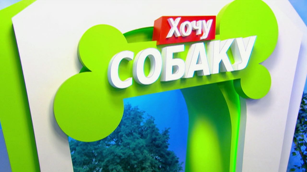 Проект хочу собаку