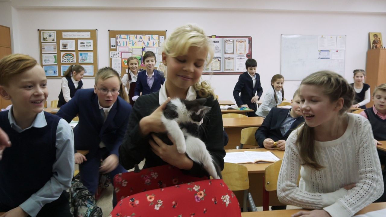 Не всерьез. Курьёз не всерьёз. Курьёз не всерьёз Карусель. Курьез всерьез. Курьезы в школе.