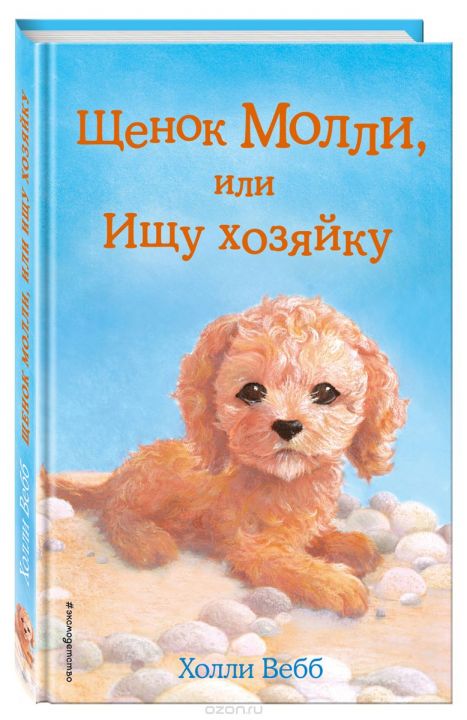 Лабрадудль Купить В Москве Цена И Фото Лабрадудль Купить В Москве Цена И Фото