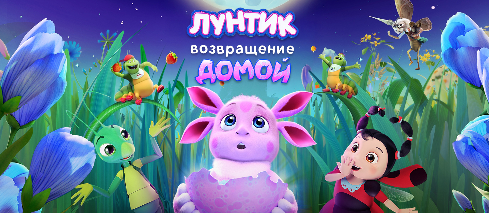 Лунтик. Возвращение домой